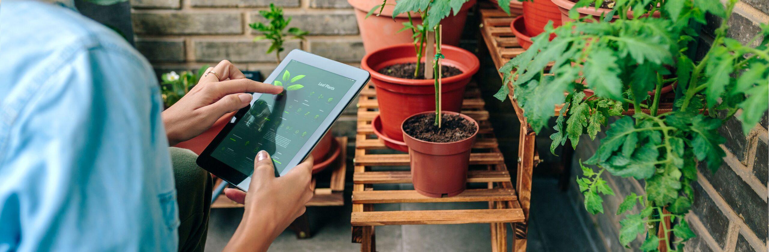 Eine Person bedient ein Tablet, welches ihr bei ihren Pflanzen hilft 